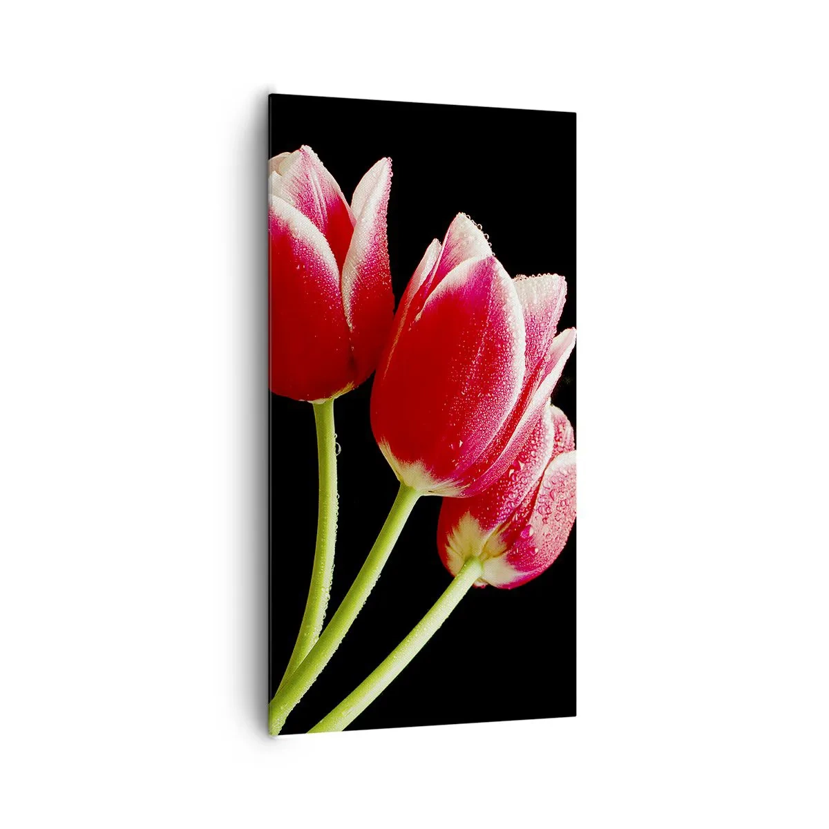 Obraz na płótnie - Obietnica czystej miłości - 65x120 cm