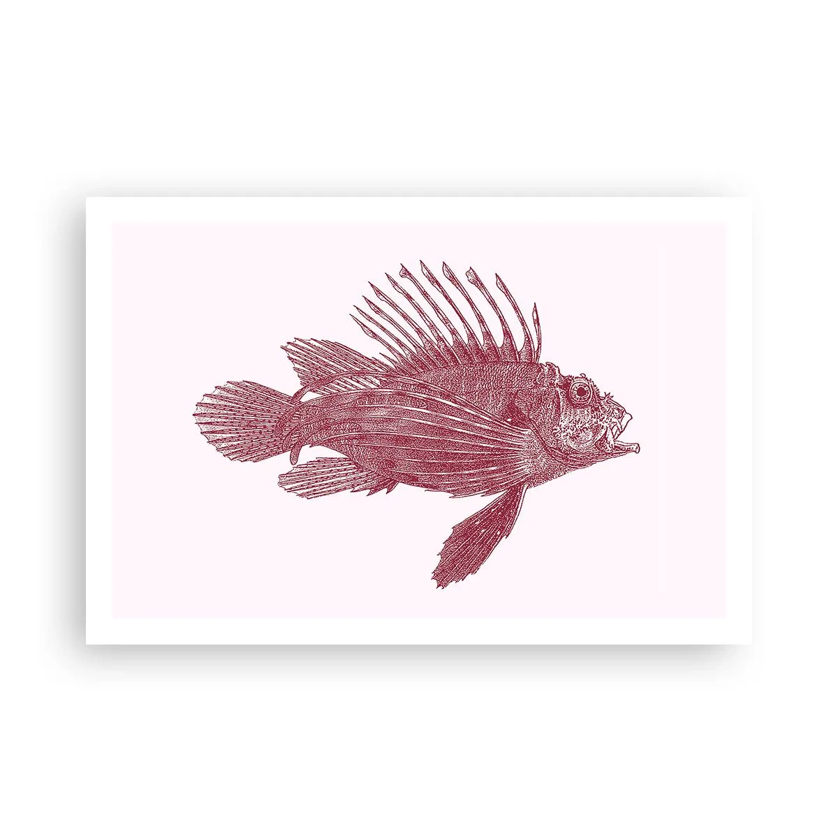 Plakat - Mieszkanka egzotycznych wód - 91x61 cm
