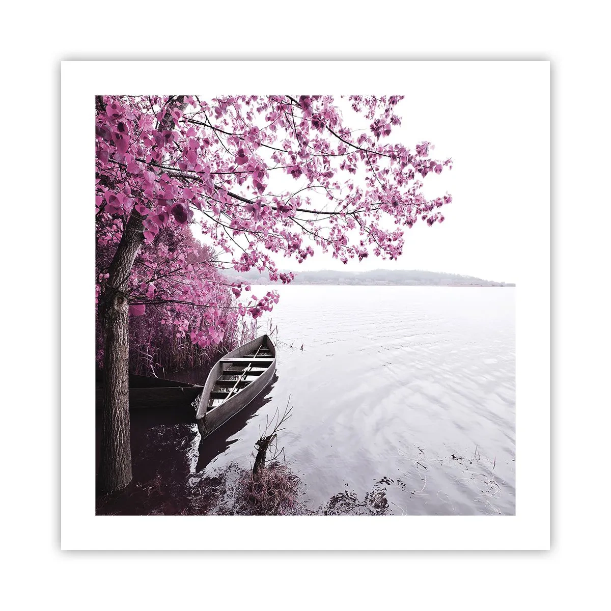 Plakat - W różowej ciszy - 50x50 cm