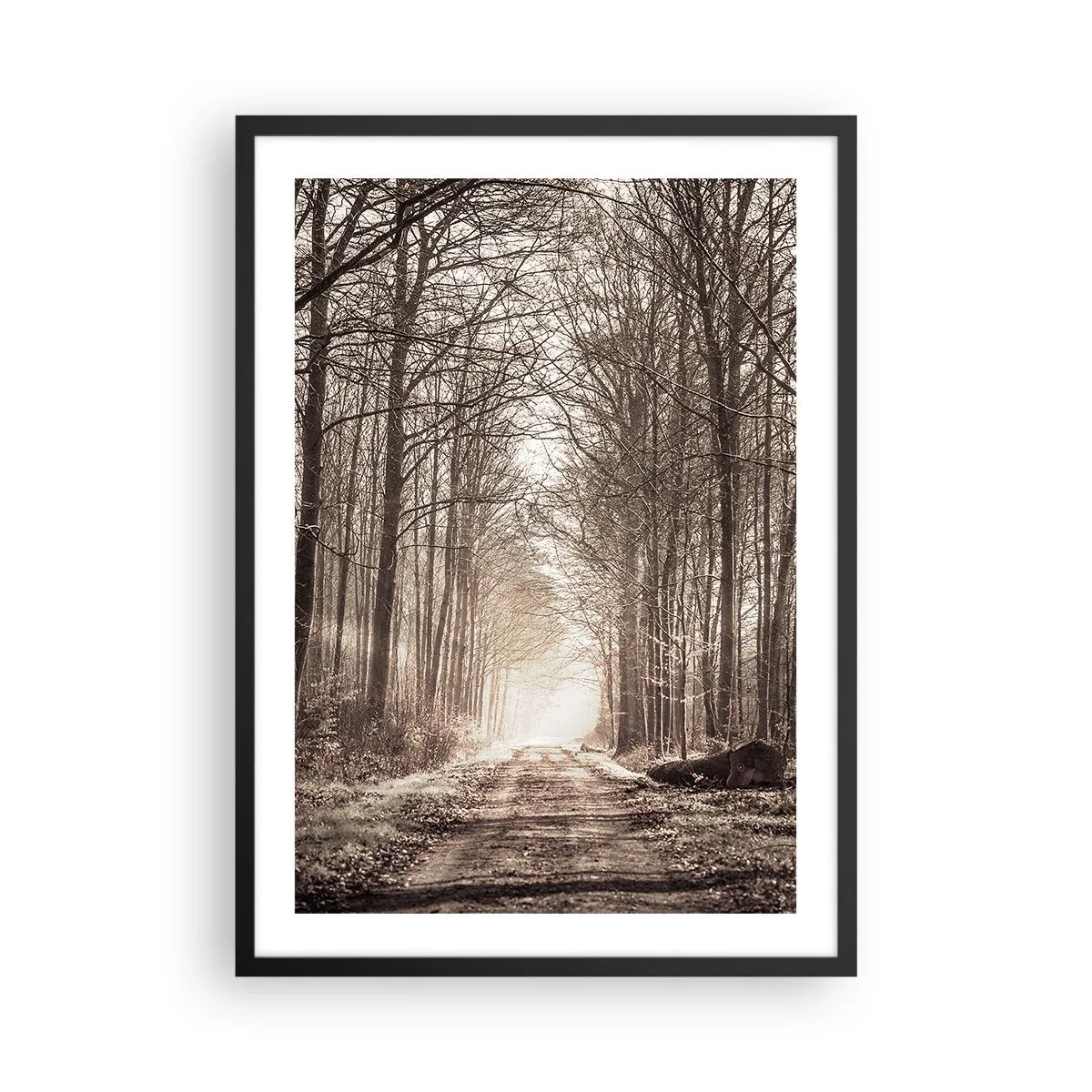 Plakat w czarnej ramie - Leśna ścieżka w jesiennych odcieniach sepii - 50x70cm - Leśna katedra - Nowoczesna dekoracja ścienna do salonu i sypialni ARTTOR