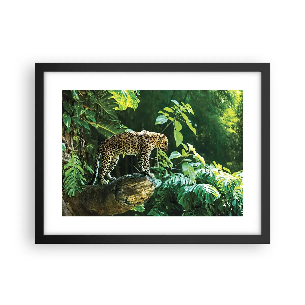 Plakat w czarnej ramie - Na łowy? - 40x30 cm