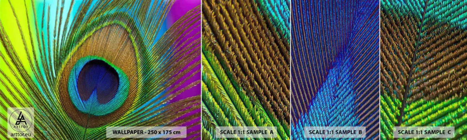 Fototapeta Próbka Premium Canvas - Oko w oko - Abstrakcja, Pawie Pióro, Sztuka - 100x30 cm