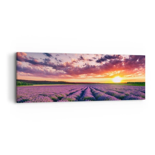 Obraz na płótnie - Lawendowy świat - 90x30 cm