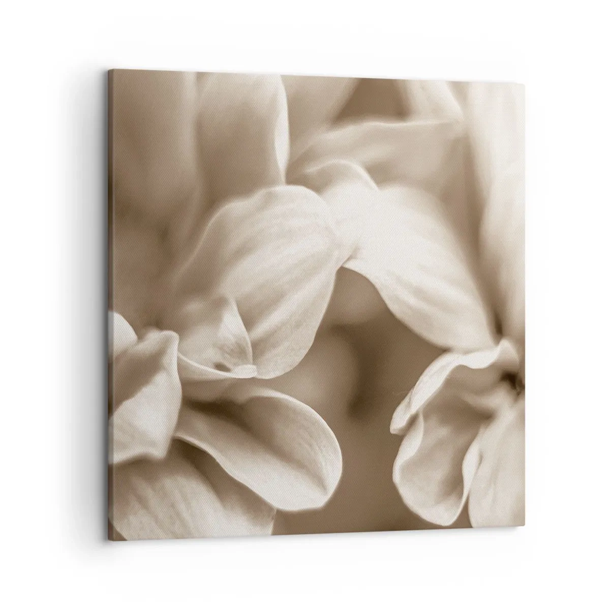 Obraz na płótnie - Łagodne jak uśmiech - 50x50 cm