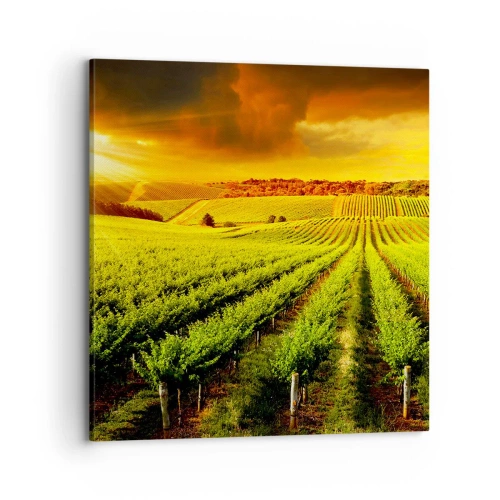 Obraz na płótnie - Pod australijskim słońcem - 70x70 cm