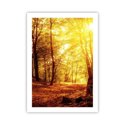 Plakat - Zachód słońca oświetlający jesienny las pełen złotych liści - 50x70cm - Ku złotej polanie - Nowoczesna dekoracja ścienna do salonu, kuchni i sypialni ARTTOR