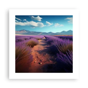 Plakat - Pachnące pola - 40x40 cm