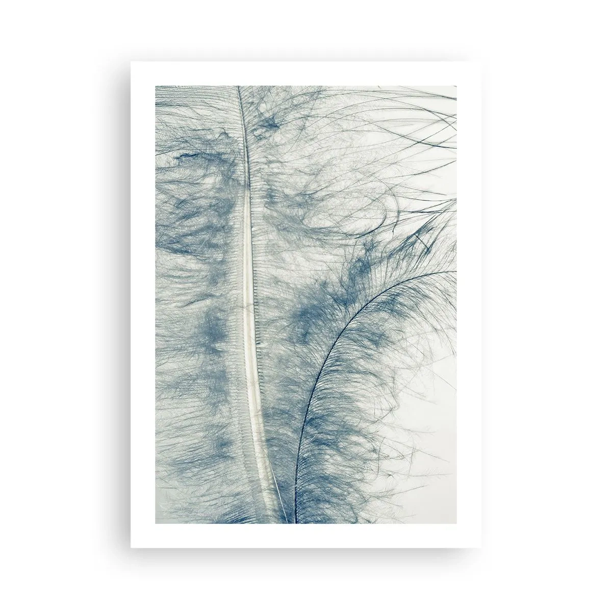 Plakat - Delikatne pióro w subtelnych odcieniach błękitu - 50x70cm - Szept natury - Nowoczesna dekoracja ścienna do salonu, kuchni i sypialni ARTTOR