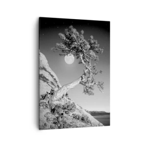 Obraz na płótnie - Czarno-białe drzewo na skalistym zboczu z pełnią księżyca w tle - 50x70cm - Zwycięska wojowniczka - Nowoczesna dekoracja ścienna do salonu, kuchni i sypialni ARTTOR