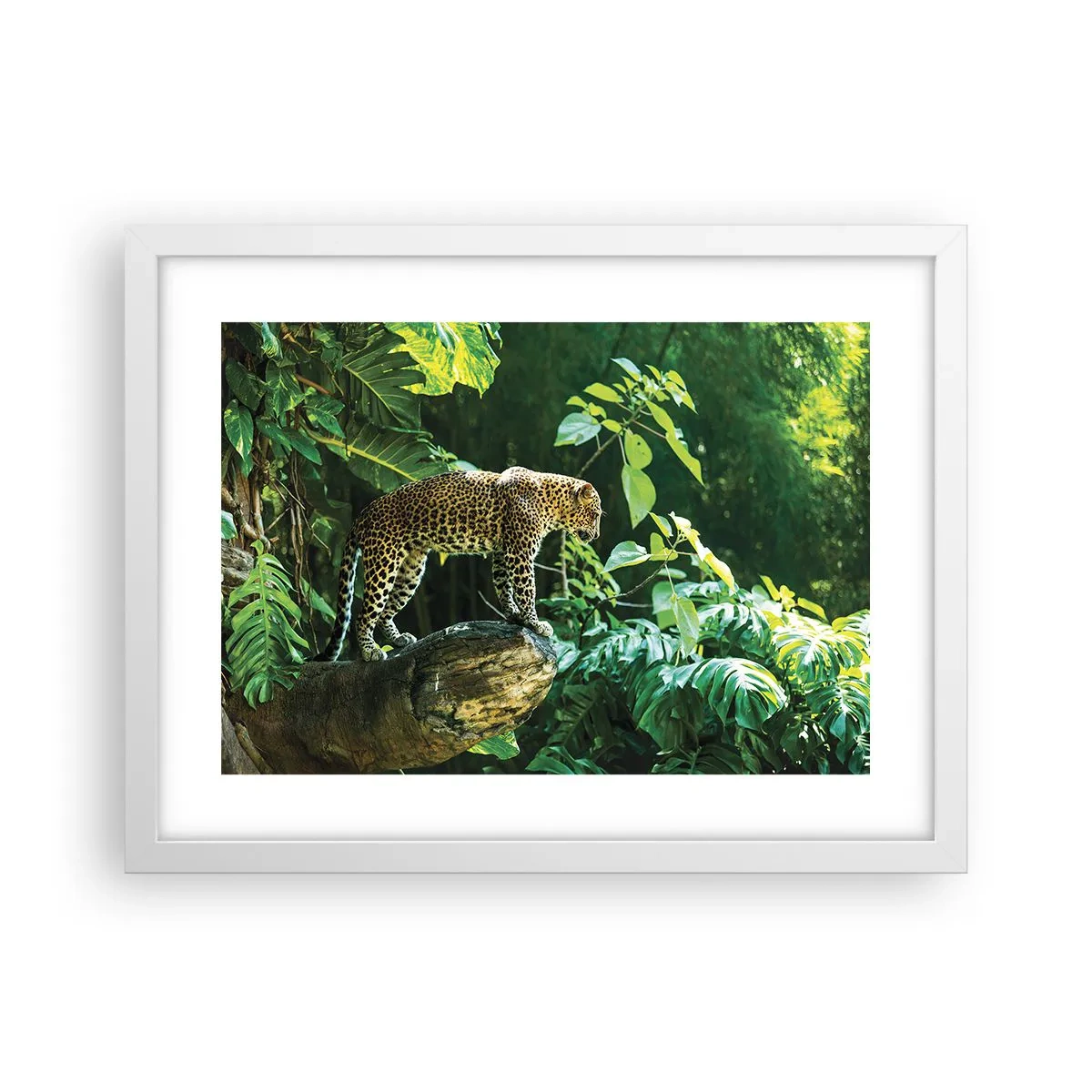 Plakat w białej ramie - Na łowy? - 40x30 cm