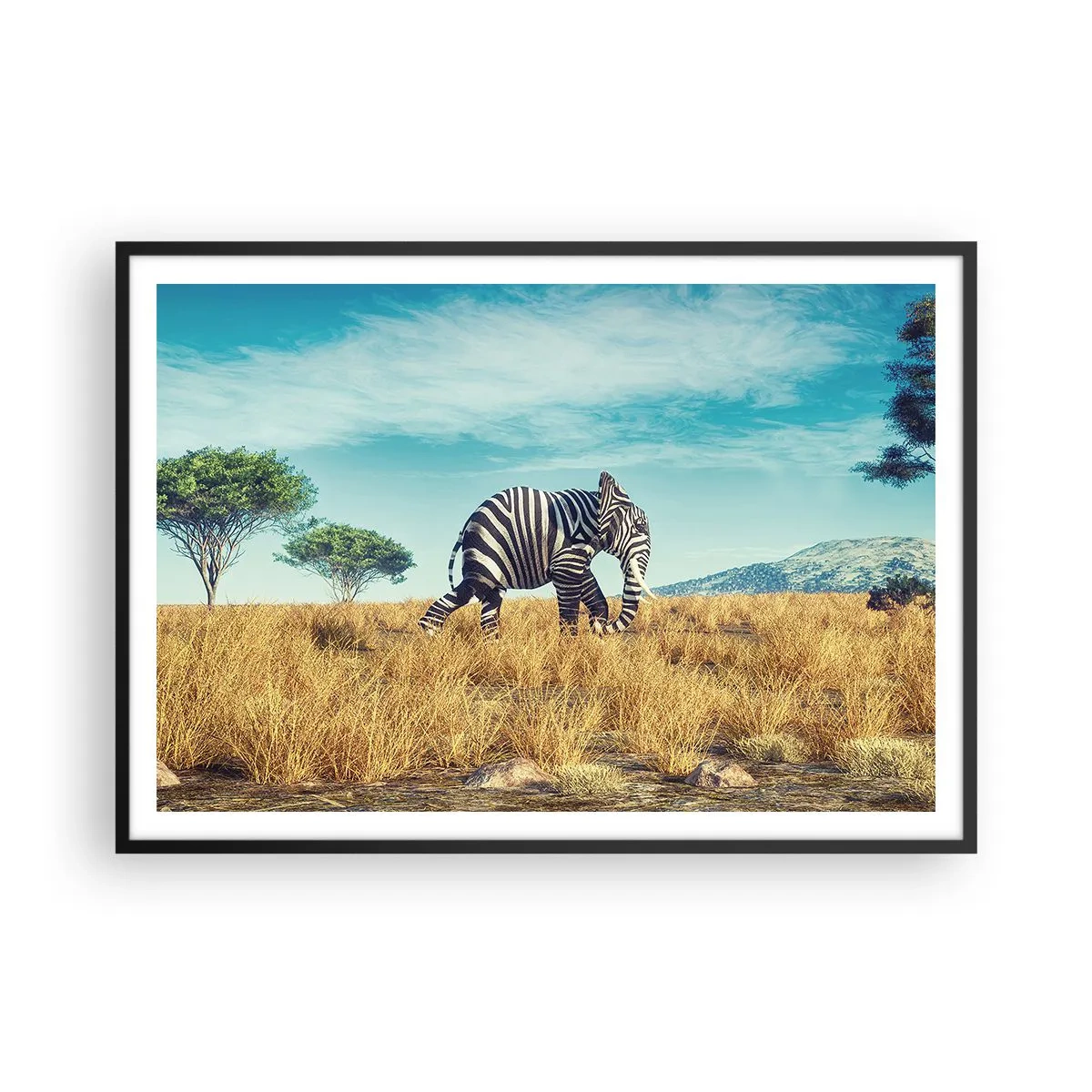 Plakat w czarnej ramie - Zebra w afrykańskim krajobrazie - 100x70cm - Szarość już niemodna - Nowoczesna dekoracja ścienna do salonu i sypialni ARTTOR