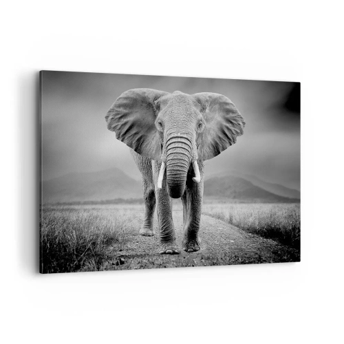 Obraz na płótnie - Potężny słoń na sawannie w monochromatycznej tonacji - 100x70cm - Gospodarz wita - Nowoczesna dekoracja ścienna do salonu, kuchni i sypialni ARTTOR