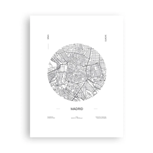 Plakat - Anatomia Madrytu - 30x40 cm