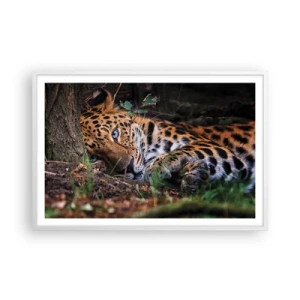 Plakat w białej ramie - Zaufaj mi - 91x61 cm