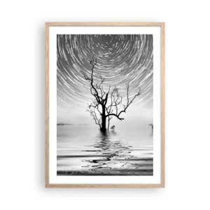 Plakat w ramie jasny dąb - Symfonia natury - 50x70 cm