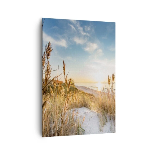 Obraz na płótnie - Malownicza plaża z trawami i zachodzącym słońcem - 70x100cm - Północna plaża - Nowoczesna dekoracja ścienna do salonu i sypialni ARTTOR