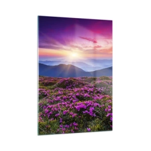 Obraz na szkle - Krajobraz górski z wrzosowiskiem o zachodzie słońca - 50x70cm - Ziół zapachniały świeże pęki od niw - Nowoczesna dekoracja ścienna do salonu, kuchni i sypialni ARTTOR