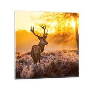 Obraz na szkle - Król jesiennego lasu - 30x30 cm