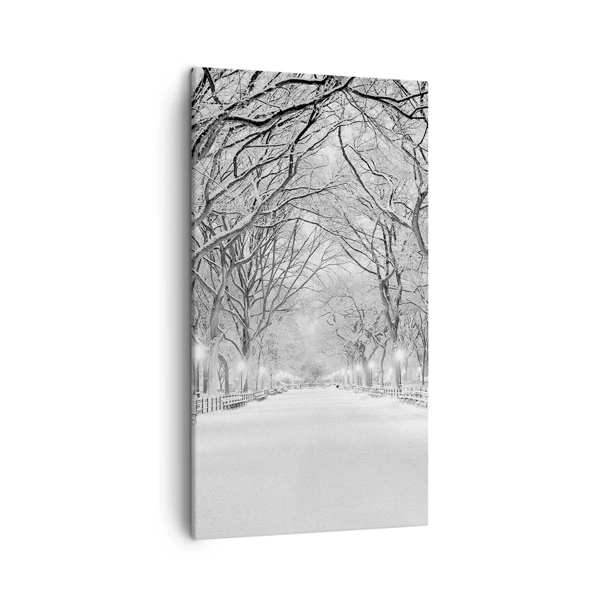 Obraz na płótnie - Cztery pory roku – zima - 45x80 cm