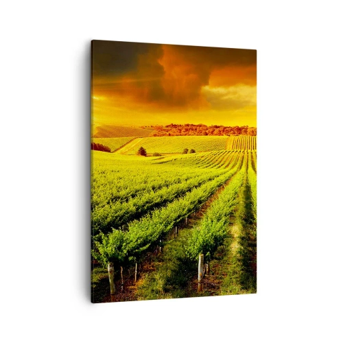 Obraz na płótnie - Złocisty zachód słońca nad winnicą - 50x70cm - Pod australijskim słońcem - Nowoczesna dekoracja ścienna do salonu, kuchni i sypialni ARTTOR
