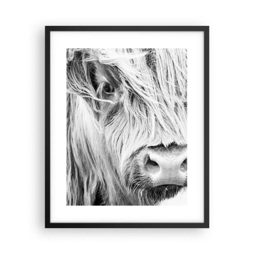 Plakat w czarnej ramie - Szkocka dzikość - 40x50 cm