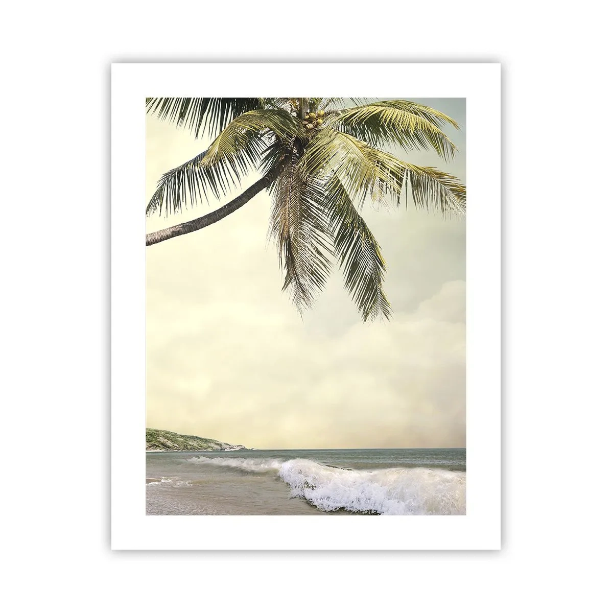 Plakat - Tropikalne marzenie - 40x50 cm