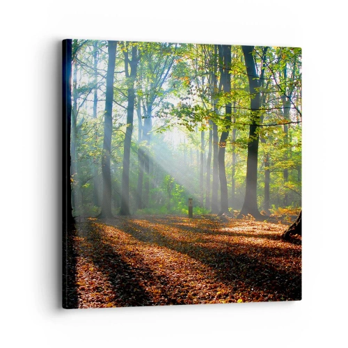 Obraz na płótnie - Blaski i cienie - 40x40 cm