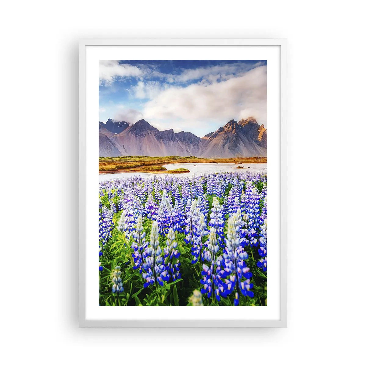 Plakat w białej ramie - Siła i surowość obok łagodności - 50x70 cm