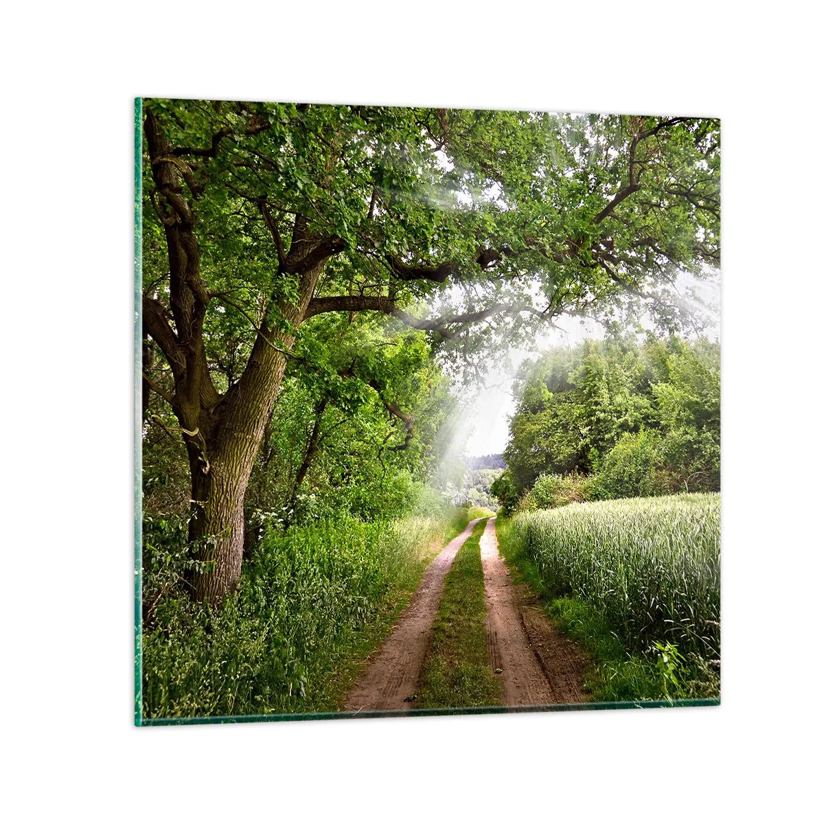 Obraz na szkle - Et in Arcadia ego - 70x70 cm