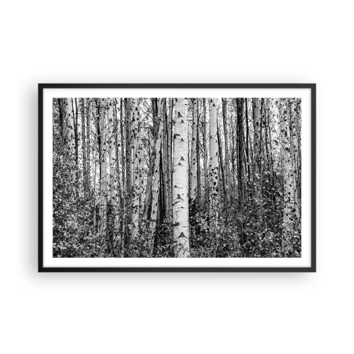Plakat w czarnej ramie - Brzozowa kolumnada - 91x61 cm