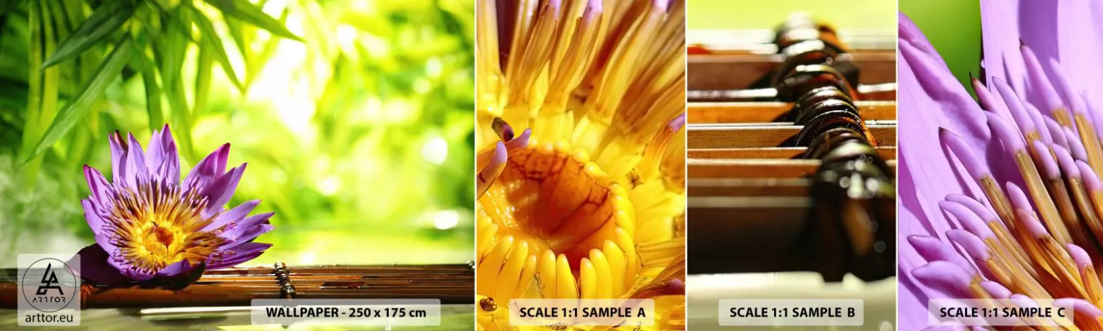 Fototapeta Próbka Standard Eco - W azjatyckim słońcu - Kwiat, Kwiat Lotosu, Bambus - 100x30 cm