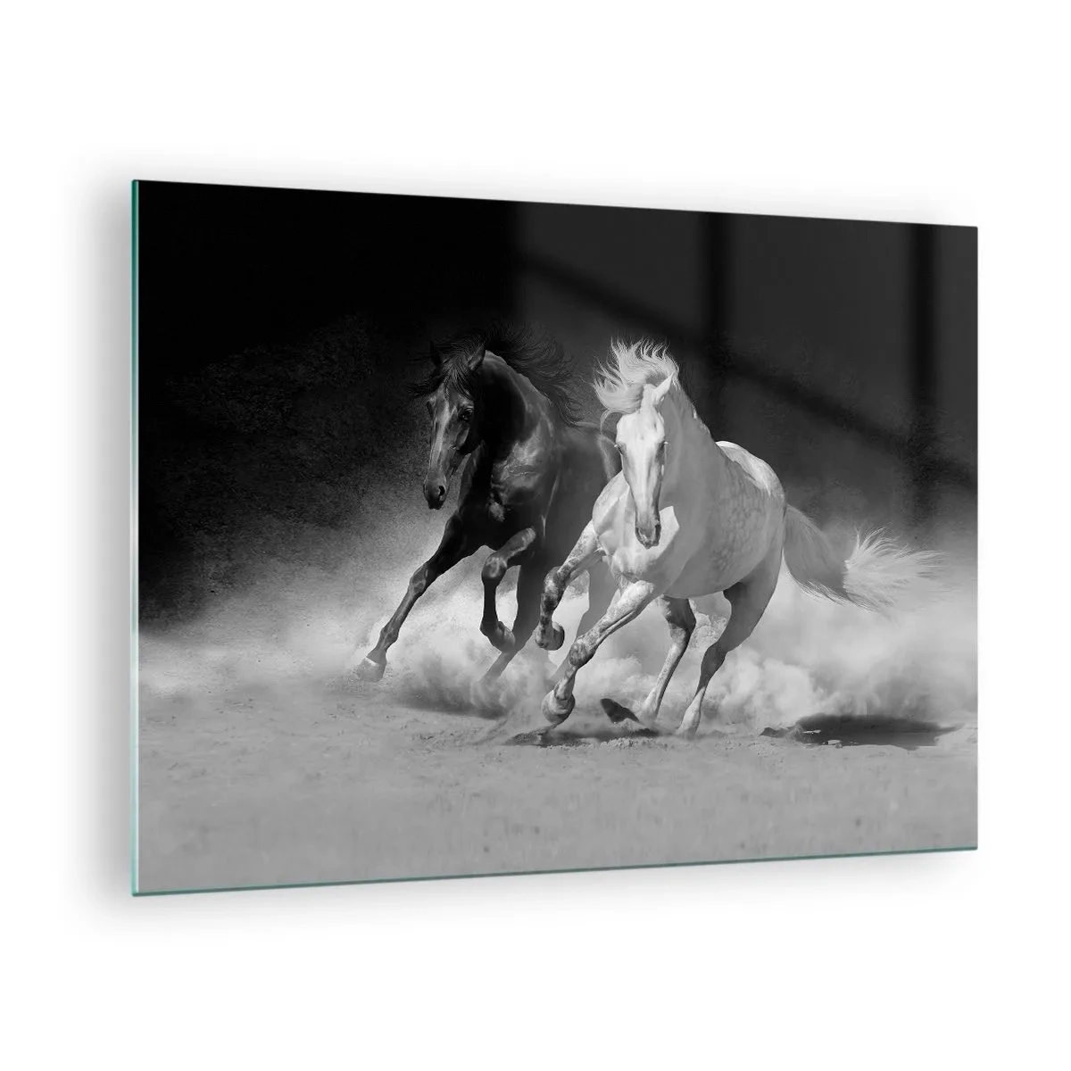 Obraz na szkle - Biegnące konie w czarno-białej tonacji - 70x50cm - Galop wolności - Nowoczesna dekoracja ścienna do salonu i sypialni ARTTOR