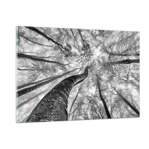 Obraz na szkle - Czarno-białe drzewa sfotografowane od dołu w kierunku nieba - 120x80cm - Wyścig do światła - Nowoczesna dekoracja ścienna do salonu, kuchni i sypialni ARTTOR