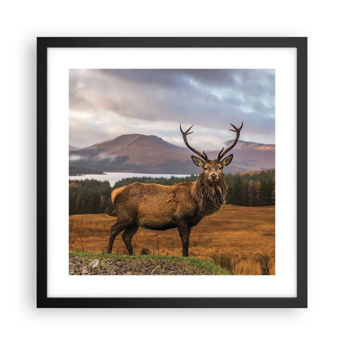 Plakat w czarnej ramie - Majestat natury - 40x40 cm