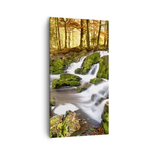 Obraz na płótnie - Bystro przez jesienny las - 55x100 cm