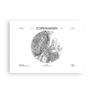 Plakat - Anatomia Kopenhagi - 70x50 cm