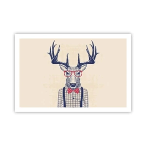 Plakat - Zabawna ekstrawagancja - 91x61 cm