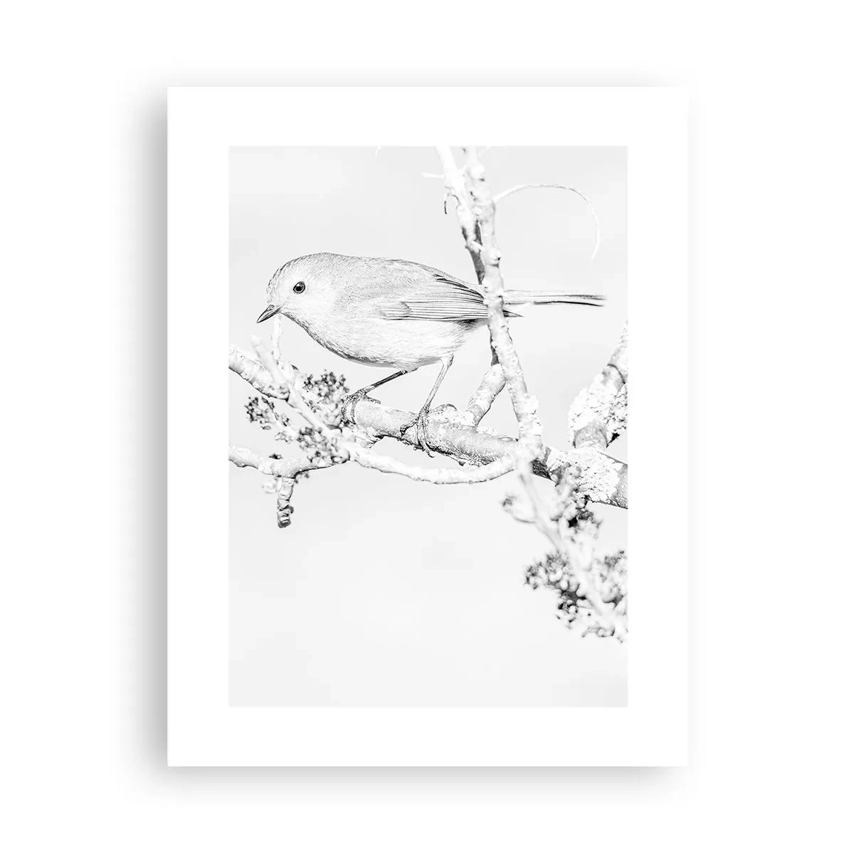 Plakat - Zimowy poranek - 30x40 cm