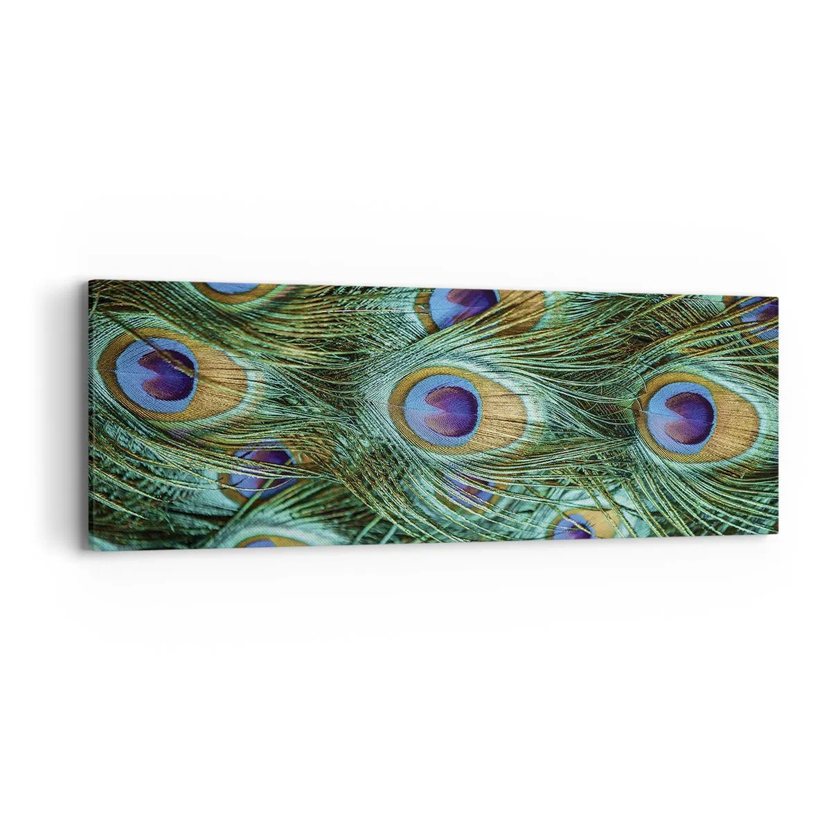 Obraz na płótnie - Pawiookie spojrzenie - 90x30 cm
