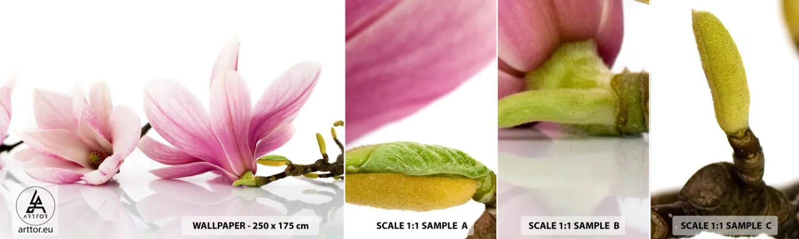 Fototapeta Próbka Samoprzylepna Deluxe Sticker - Delikatne jak powiew wiosny - Kwiat, Magnolia, Natura - 100x30 cm