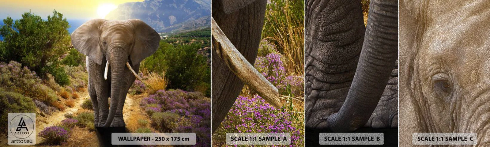 Fototapeta Próbka Premium Sand - Tak wyglądał Eden - Zwierzęta, Słoń, Safari - 100x30 cm