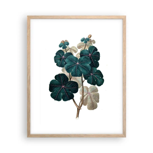 Plakat w ramie jasny dąb - Ze starego zielnika - 40x50 cm