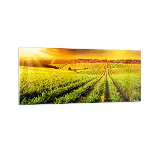 Obraz na szkle - Pod australijskim słońcem - 100x40 cm