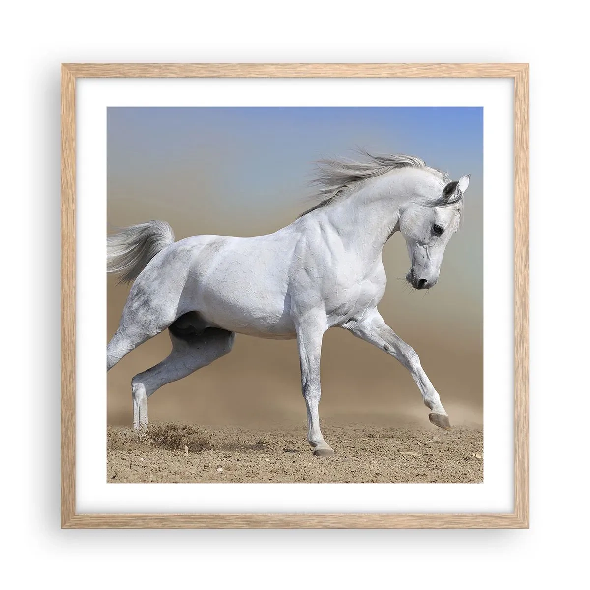 Plakat w ramie jasny dąb - Najpiękniejsza arabska baśń - 50x50 cm