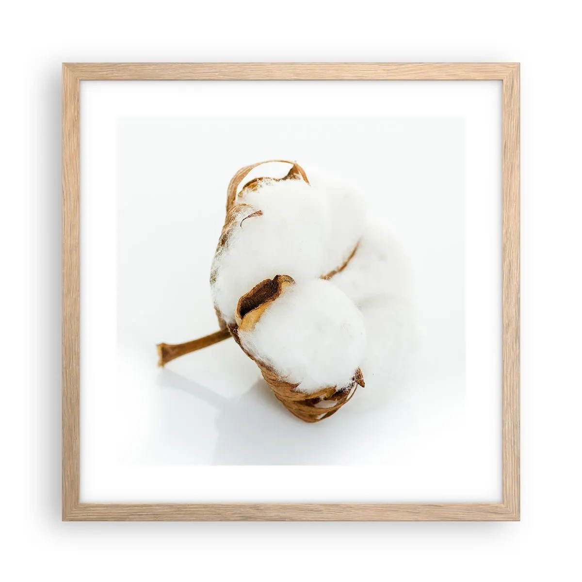 Plakat w ramie jasny dąb - Miękka z natury - 40x40 cm