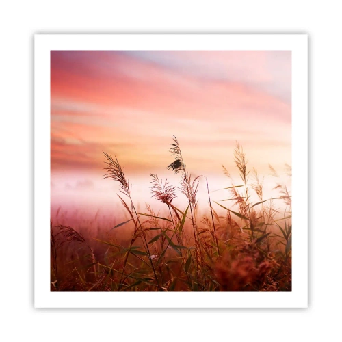 Plakat - Latawce, dmuchawce, wiatr - 60x60 cm