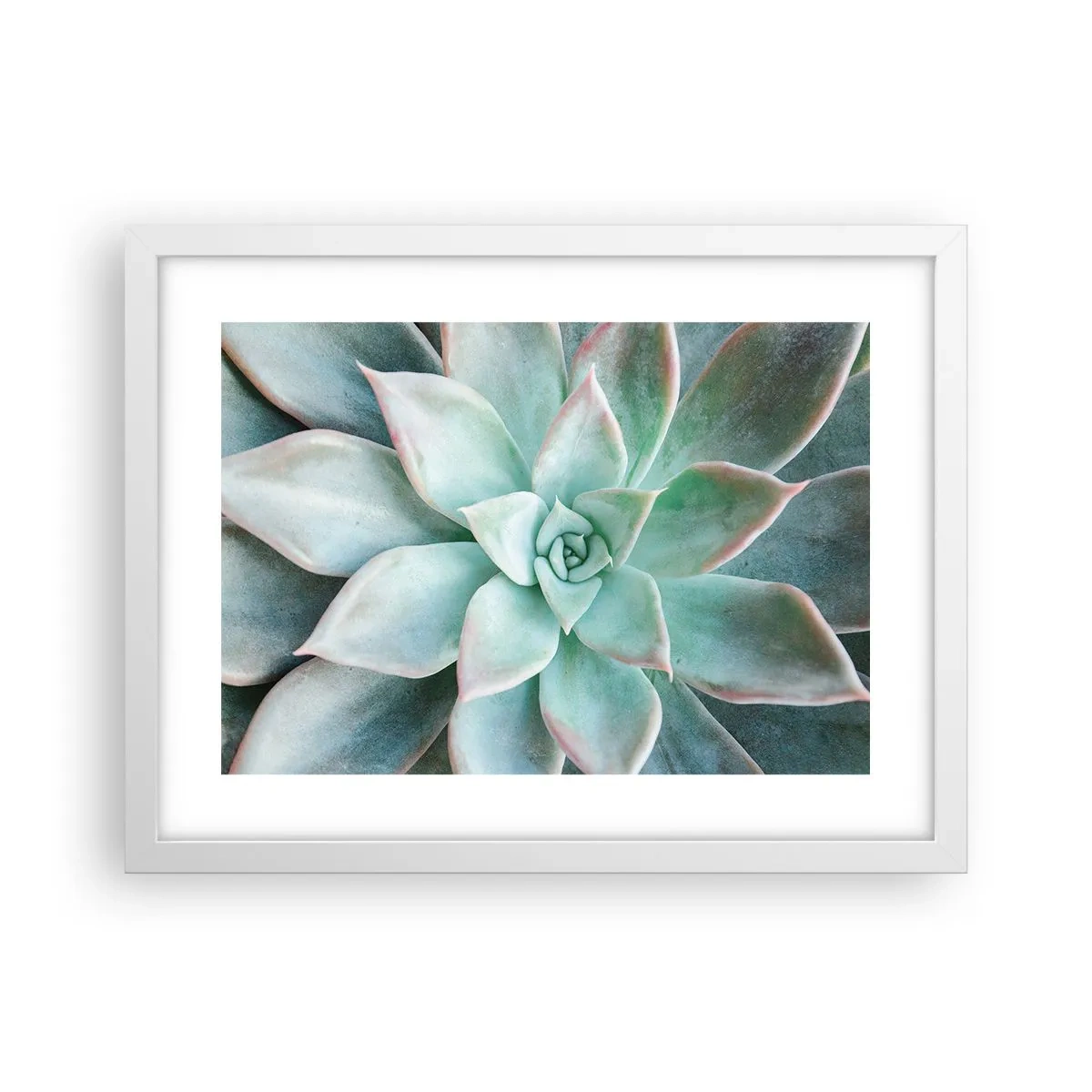 Plakat w białej ramie - Serce pustyni - 40x30 cm