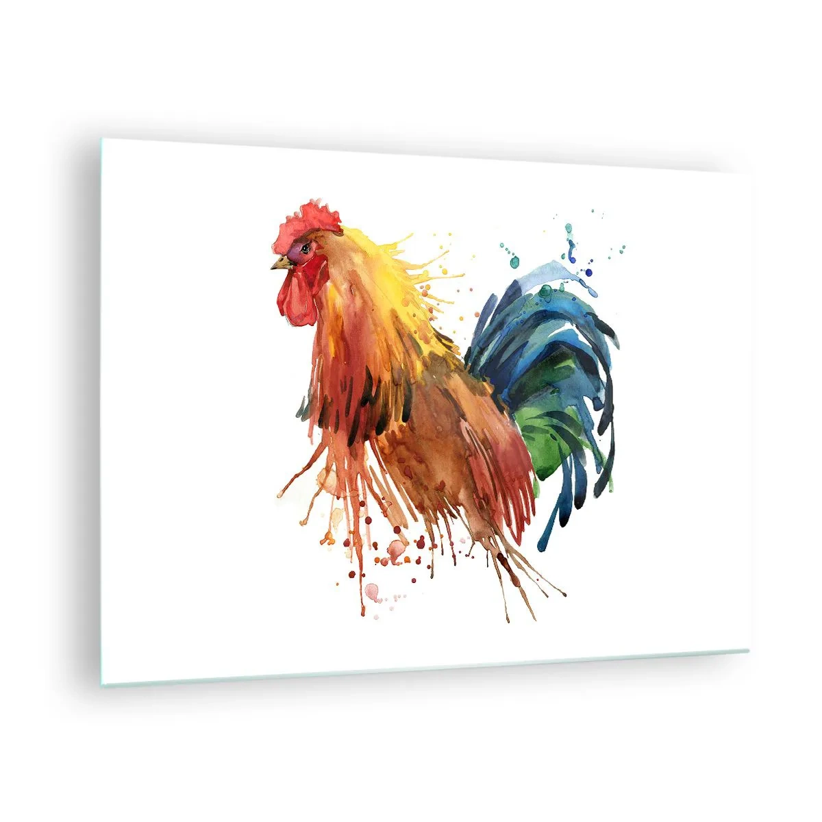 Obraz na szkle - Akwarelowy kogut w żywych kolorach na białym tle - 70x50cm - Królewska szata, królewska duma - Nowoczesna dekoracja ścienna do salonu i sypialni ARTTOR