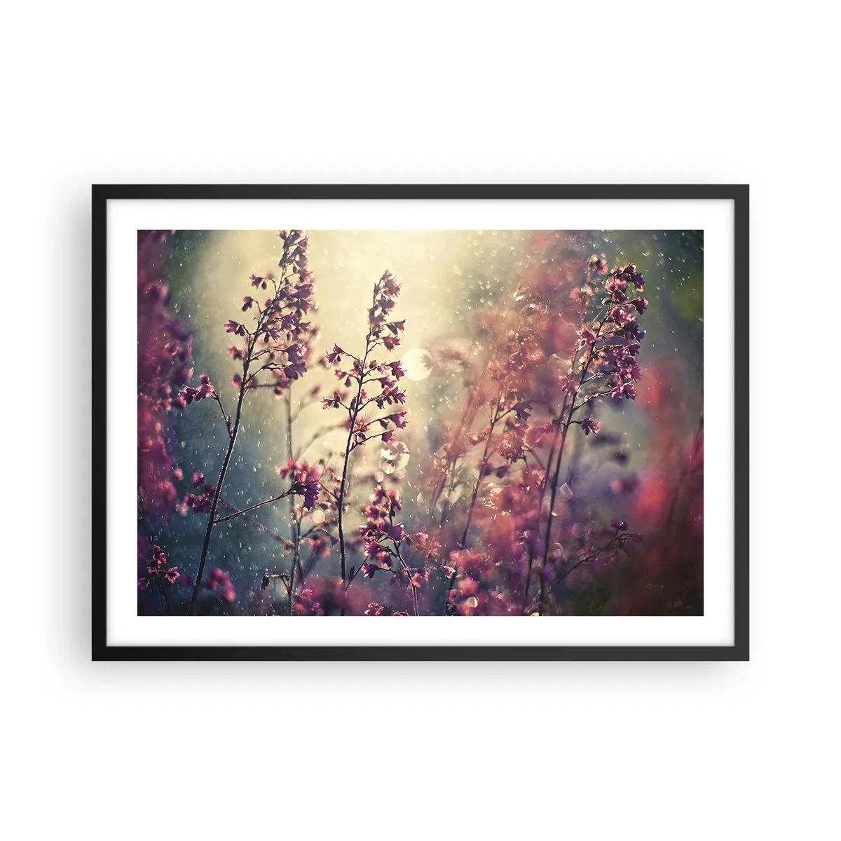 Plakat w czarnej ramie - Kwiaty w świetle słońca na tle natury - 70x50cm - Tajemniczy ogród - Nowoczesna dekoracja ścienna do salonu i sypialni ARTTOR