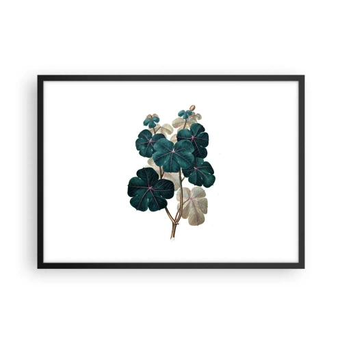 Plakat w czarnej ramie - Ilustracja botaniczna z liśćmi w odcieniach zieleni i beżu - 70x50cm - Ze starego zielnika - Nowoczesna dekoracja ścienna do salonu i sypialni ARTTOR